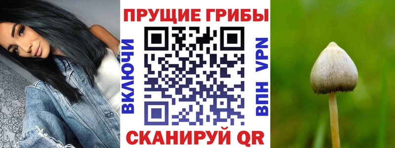 Галлюциногенные грибы прущие грибы  Купить  Полтавская 